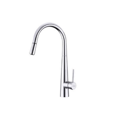 Vòi rửa chén Hafele HT21-CH1P245 577.55.220