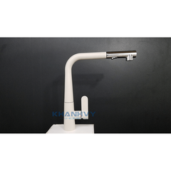 Vòi rửa chén Hafele HYDROS HT-C295 570.82.500