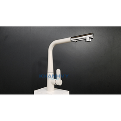 Vòi rửa chén Hafele HYDROS HT-C295 570.82.500