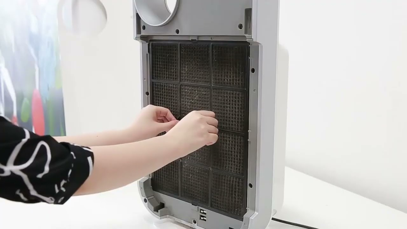Máy lọc không khí Coway AP-1008CH
