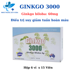 Thuốc Ginkgo 3000 hỗ trợ suy giảm tuần hoàn máu, giảm biến chứng đột quỵ