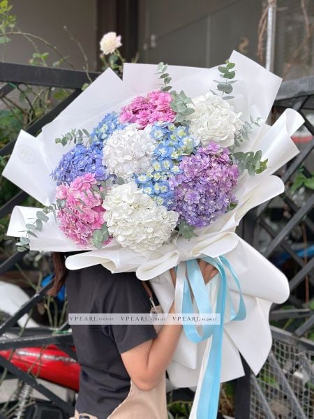  HB - Bó Cẩm Tú Cầu mix màu 