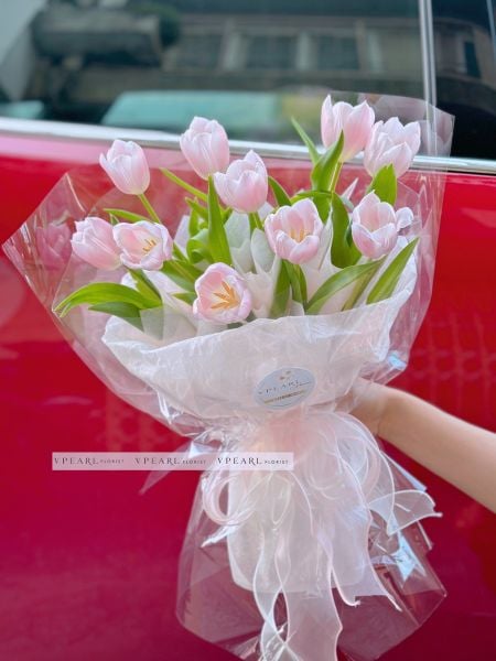  TL - Bó Tulip Hà Lan 
