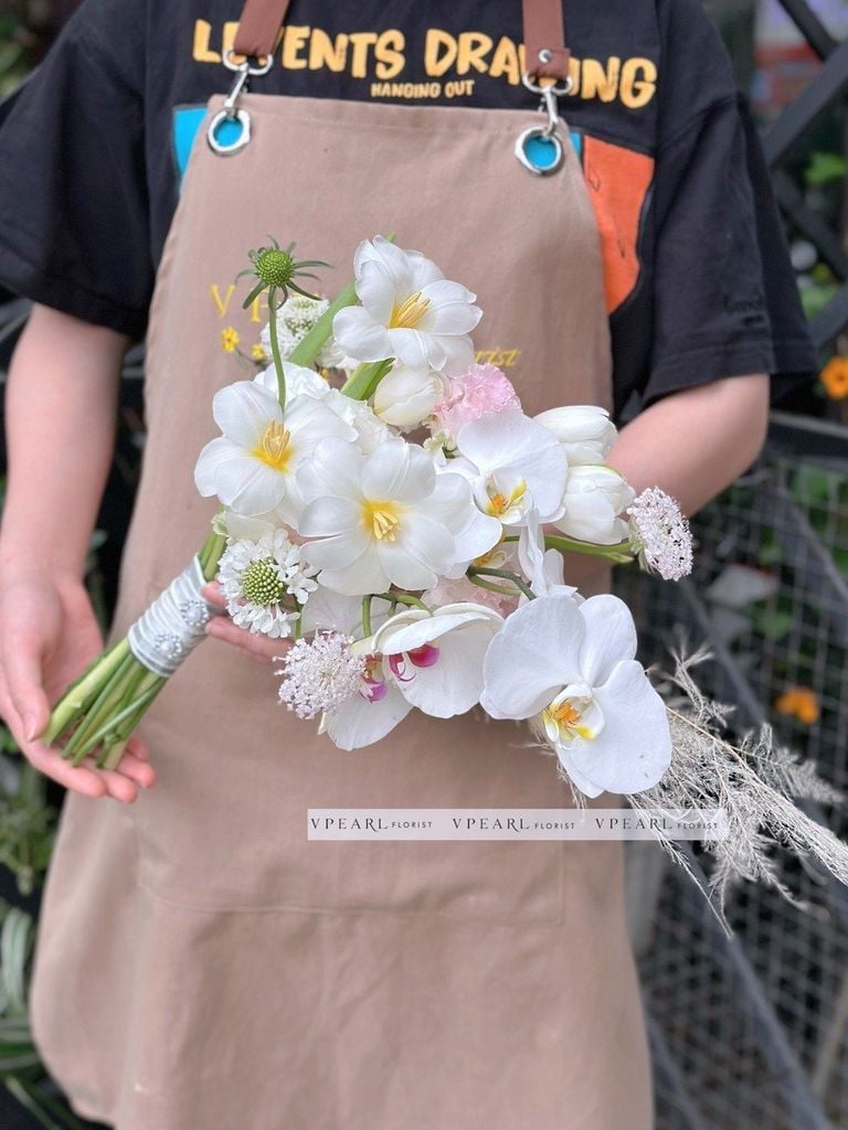  HCD - Hoa cô dâu dáng suối 