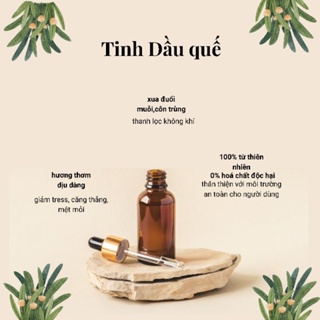  Tinh Dầu quế nguyên chất chính hãng hà bá, thơm phòng, khử khuẩn, treo xe ô tô. 