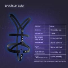 Set đai đeo khoá cao cấp, sexy