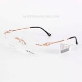  GỌNG KÍNH ExFash EF33252T-949A TITANIUM  KHOAN NỮ 