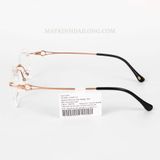  GỌNG KÍNH ExFash EF33252T-949A TITANIUM  KHOAN NỮ 
