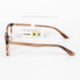  GỌNG KÍNH ZAMA ZB70117C1 NHỰA ACETATE MẮT MÈO NỮ 