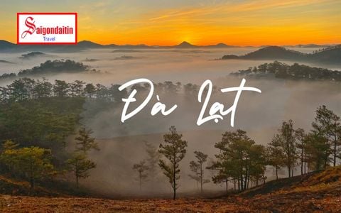 Đà Lạt 3 ngày 3 đêm