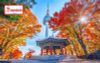 [Tour 02/09 Quốc Khánh] Hàn Quốc 5 ngày 4 đêm