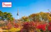 [Tour 02/09 Quốc Khánh] Hàn Quốc 5 ngày 5 đêm