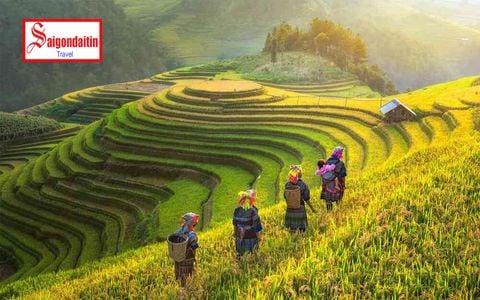 [Tour 02/09 Quốc Khánh] Hà Nội - Ninh Bình - Hạ Long - Sapa 6 ngày 5 đêm