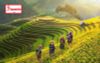 [Tour 02/09 Quốc Khánh] Hà Nội - Ninh Bình - Hạ Long - Sapa 6 ngày 5 đêm