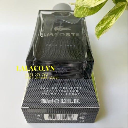 Nước hoa nam Lacoste Pour Homme 100ml - chai xám mùi hương thanh mát