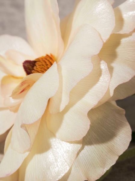 Nước Hoa Nữ Burberry Her Eau de Parfum 100ml - Hàng Pháp