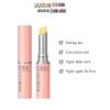 Son Dưỡng Môi DHC Lip Cream 1,5g Nhật Bản
