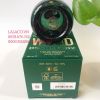 Nước hoa Nam DSQUARED2 Green Wood Pour Homme EDT 100ml