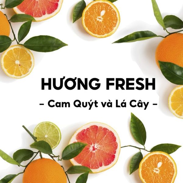 Lăn khử mùi Old Spice - Mỹ