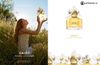 Nước hoa Nữ Marc Jacobs Daisy Edt 100ml