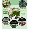 Tảo xoắn tem đỏ,viên tảo xoắn SPIRULINA hộp 2200 viên (DATE 2025)
