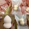 BÔNG PHẤN HỒ LÔ VACOSI