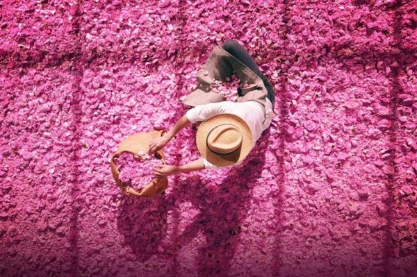 [Tester] Nước Hoa Miss Dior Rose N'Roses EDT 100ml