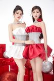  SNOWY DREAM Kira Red 