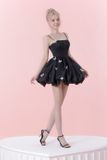  BARBIE Butterfly Dress - Black 