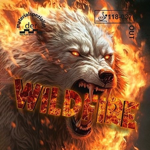  Wildfire (Gai trung) 