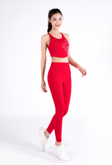 Bộ Tập Yoga Nữ Áo Bra Yếm & Quần Legging Livan LV24N01F501 (D)