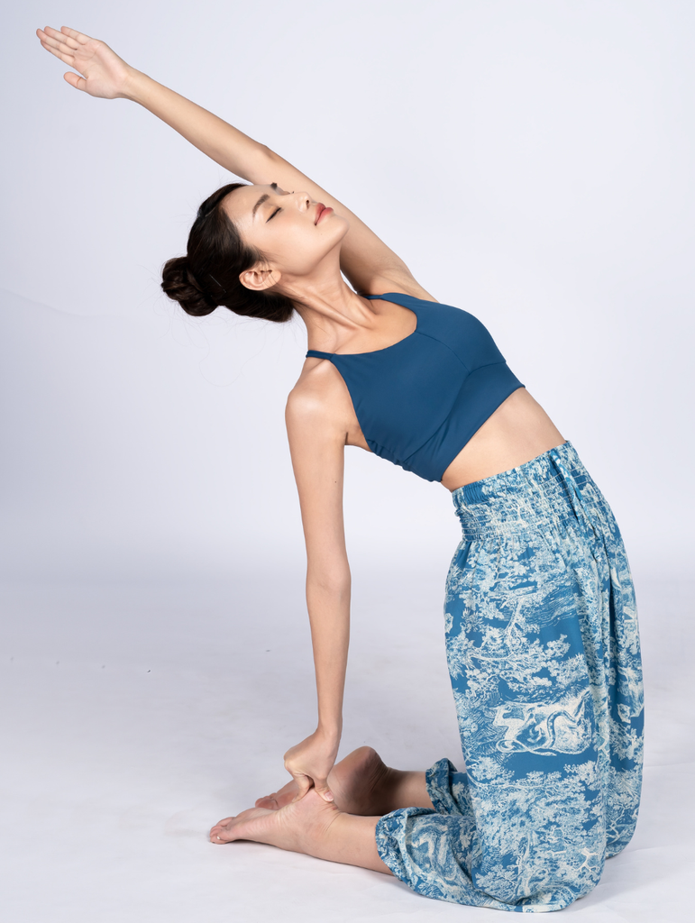 Áo Bra Tập Yoga Nữ LV24N01F101 (D)