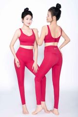 Quần tập Gym/Yoga Legging Cao Cấp Livan LM24N01F302