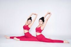 Quần tập Gym/Yoga Legging Cao Cấp Livan LM24N01F302