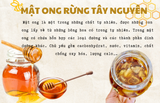  SÂM NGỌC LINH NGÂM MẬT ONG 900ML 