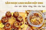  SÂM NGỌC LINH NGÂM MẬT ONG 900ML 