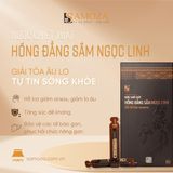  NƯỚC CHIẾT XUẤT HỒNG ĐẲNG SÂM (Hộp 10 ống) 