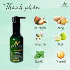 [Tặng lược gỗ đàn hương] Combo gội xả Anlacos mọc tóc gừng bưởi thuần chay 200ml