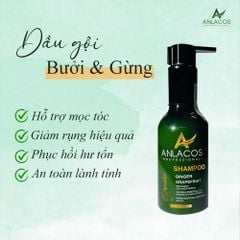 [Tặng lược gỗ đàn hương] Dầu gội Anlacos mọc tóc từ bưởi gừng thuần chay thiên nhiên 200ml