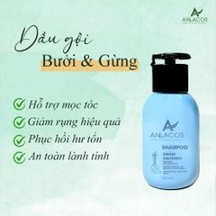 Dầu gội Anlacos dược liệu bưởi gừng cho mẹ bầu, dầu gội kích mọc tóc thiên nhiên 40ml - Size du lịch