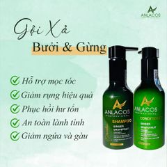 [Tặng lược gỗ đàn hương] Combo gội xả Anlacos mọc tóc gừng bưởi thuần chay 200ml