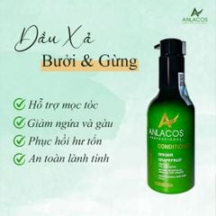 [Tặng lược gỗ đàn hương] Dầu xả Anlacos dùng massage da đầu gừng bưởi thuần chay 200ml