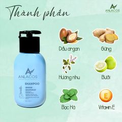 [Tặng lược gỗ đàn hương] Combo gội xả Anlacos mọc tóc thuần chay gừng bưởi size mini 40ml
