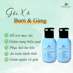[Tặng lược gỗ đàn hương] Combo gội xả Anlacos mọc tóc thuần chay gừng bưởi size mini 40ml