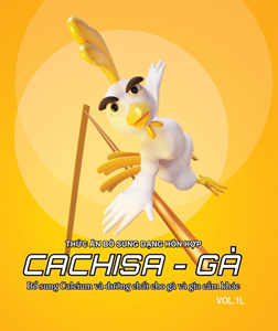  Nano Cachisa – Gà 