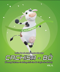  Nano Cachisa – Bò 