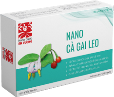  NANO CÀ GAI LEO 
