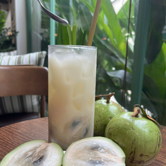 Mật dừa vú sữa tươi Noah Healthy