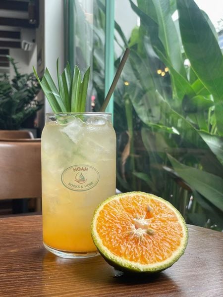 Mật dừa nước tươi Noah Healthy Mix Cam