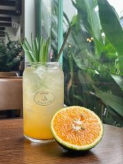 Mật dừa nước tươi Noah Healthy Mix Cam